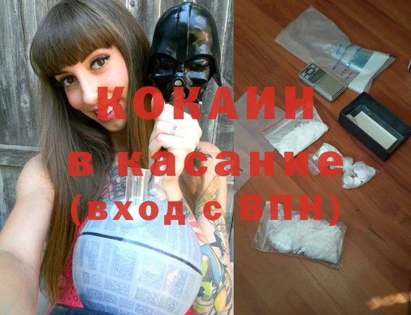прущие грибы Балахна