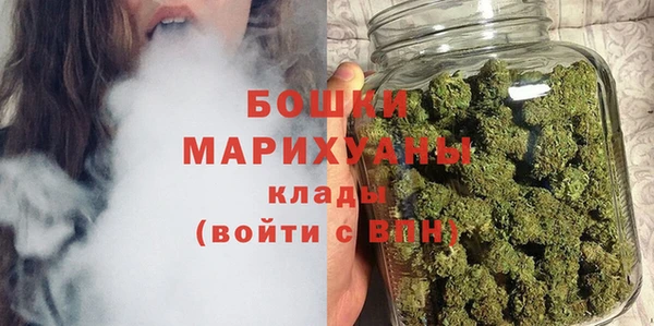 прущие грибы Балахна