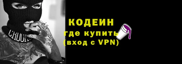 прущие грибы Балахна