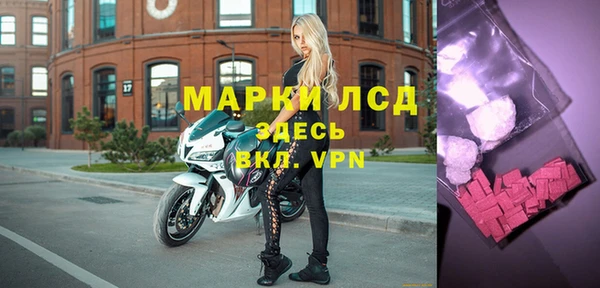 стафф Баксан