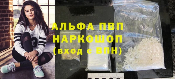 прущие грибы Балахна