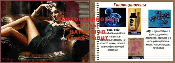 прущие грибы Балахна