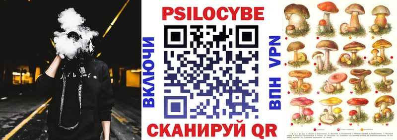 Купить где  Лениногорск  Галлюциногенные грибы MAGIC MUSHROOMS 